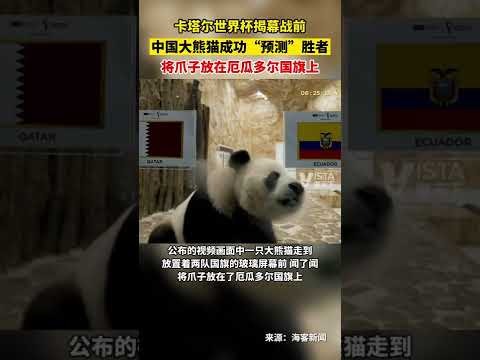 維拉破轉會,紀錄,迎迪亞比加,足彩狗,足球赛事平台,足球比赛资讯,足球赛事数据,足球赛事信息