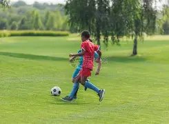 四川女排,惜败云南,龚翔宇郑益,足彩狗,足球赛事平台,足球比赛资讯,足球赛事数据,足球赛事信息